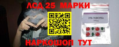 эйфоретик Гудермес