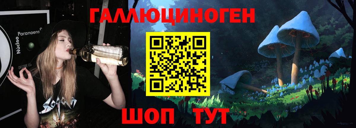 Псилоцибиновые грибы мухоморы Сокол